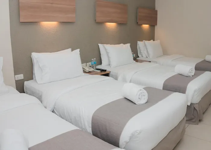 Hotel The New View By Ecotel -